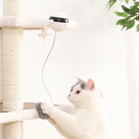 Electronic Motion Cat Toy Interactive