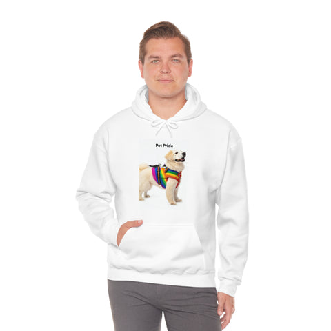Unisex Heavy Blend™ Hooded Sweatshirt