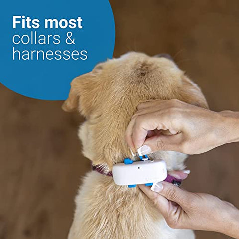 PupFinder GPS