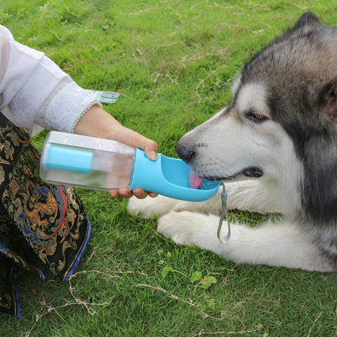AquaPup 3-in-1