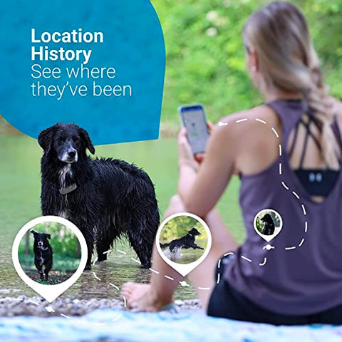 PupFinder GPS