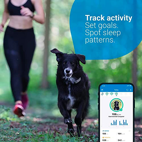 PupFinder GPS