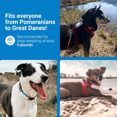 PupFinder GPS